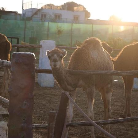 Tétouan La Granja旅馆 外观 照片