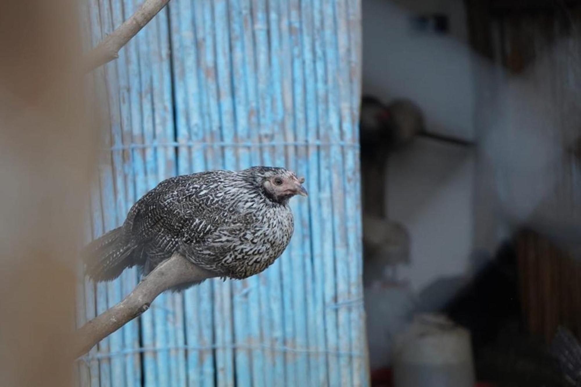 Tétouan La Granja旅馆 外观 照片