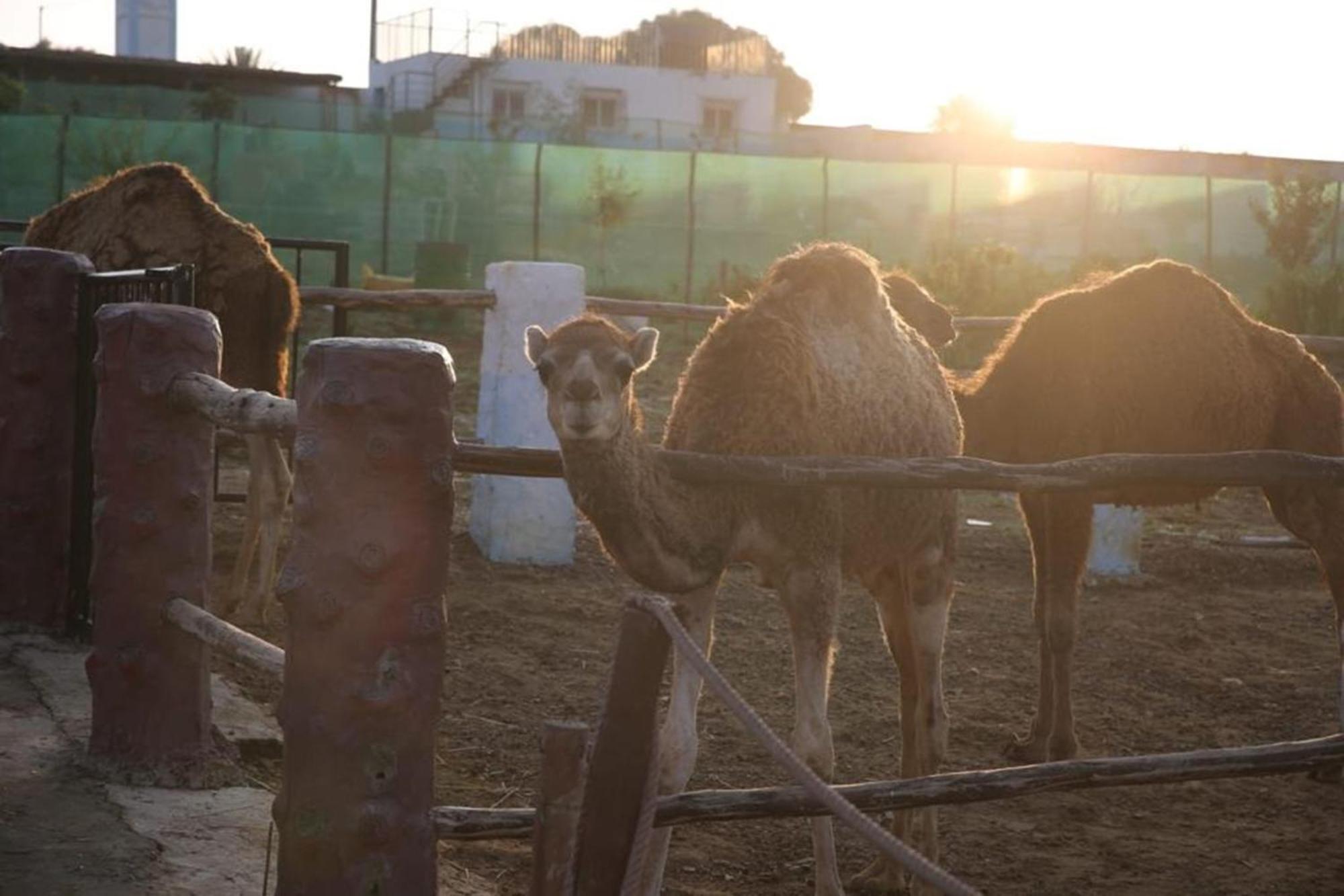 Tétouan La Granja旅馆 外观 照片